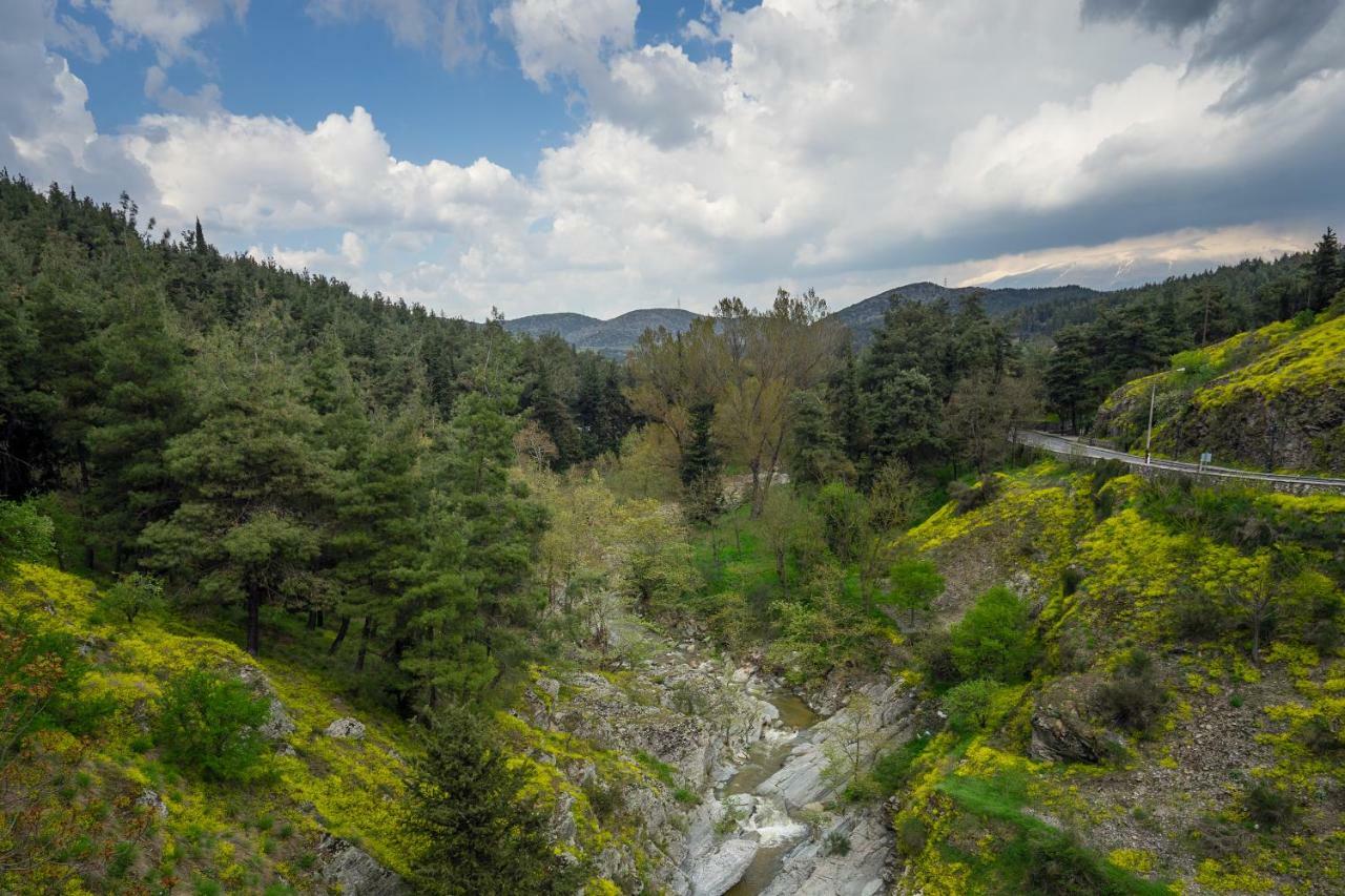 River Side Rooms Elassona Экстерьер фото